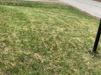 Lawn care service in , 