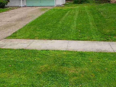 Lawn care service in Amherst, 44001