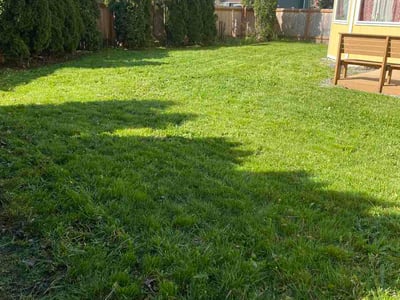 Lawn care service in Enumclaw, 98022