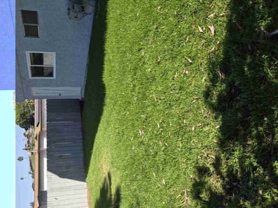 Lawn care service in San Diego, 92117
