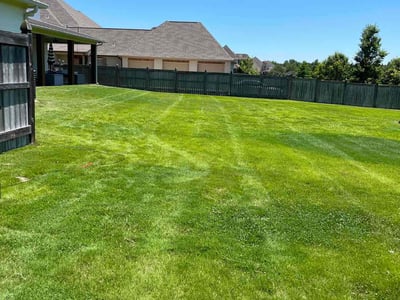 Lawn care service in Madison, 39110