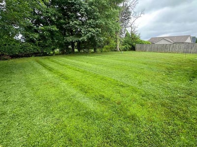 Lawn care service in Jeffersonville, 47130