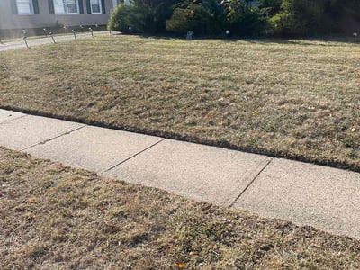 Lawn care service in Willingboro, 08046