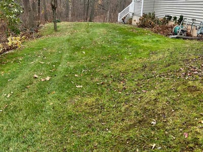 Lawn care service in , 