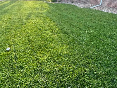 Lawn care service in Denver, 80210