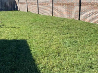 Lawn care service in Katy, 77493