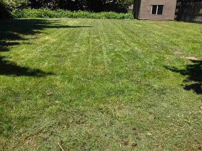 Lawn care service in Portland, 97236