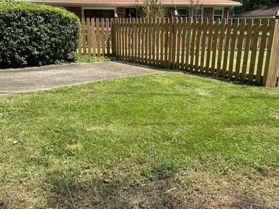 Lawn care service in , 