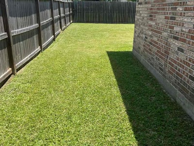 Lawn care service in Hempstead, 77445