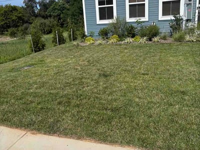 Lawn care service in Kearneysville, 25430