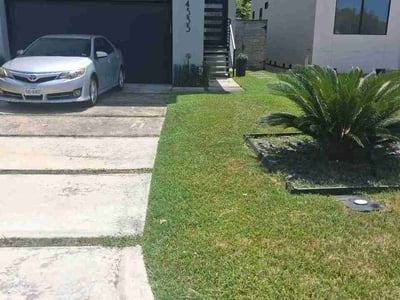 Lawn care service in Bellaire, 77401