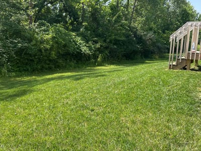 Lawn care service in Columbus, 43232