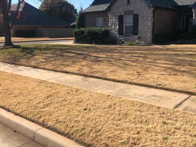 Lawn care service in , 