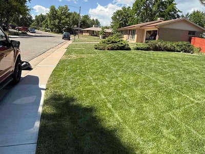 Lawn care service in Lakewood, 80226