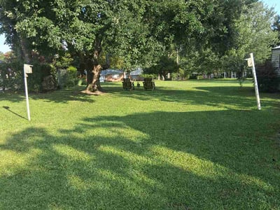 Lawn care service in Greenwood, 29649