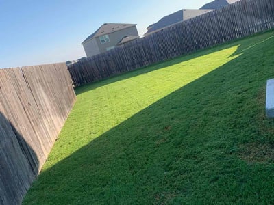 Lawn care service in Jarrell, 76537
