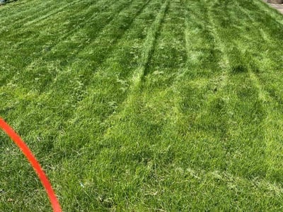 Lawn care service in Oak Lawn, 60453