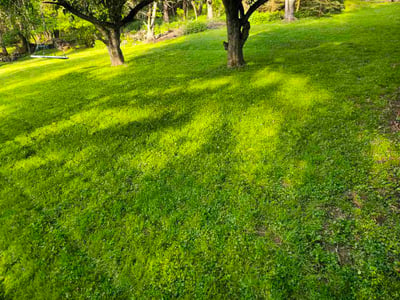 Lawn care service in Glenshaw, 15116