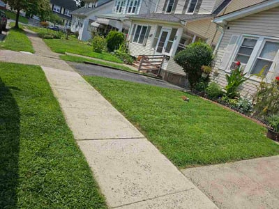 Lawn care service in West Orange, 07052