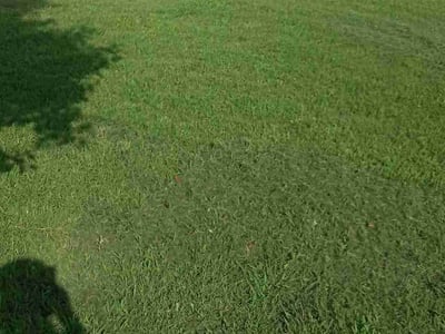 Lawn care service in Suffolk, 23435