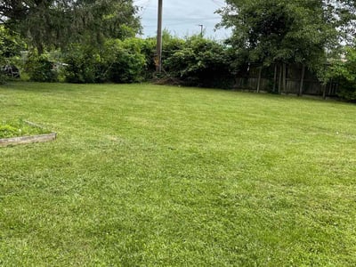 Lawn care service in Georgetown, 40324
