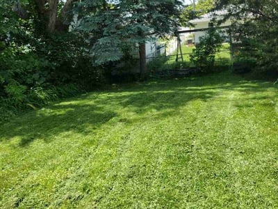 Lawn care service in Des Moines, 50317