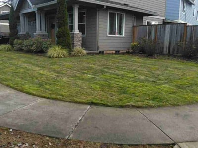 Lawn care service in Milwaukie, 97222