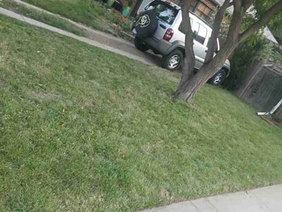 Lawn care service in Denver, 80220