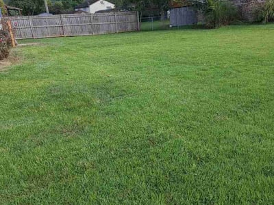Lawn care service in Harrison, 45030