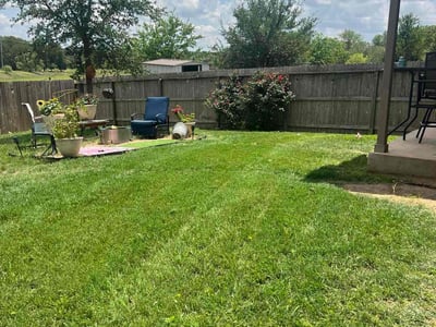 Lawn care service in Selma, 78154