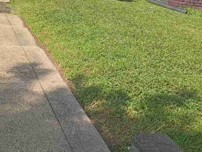 Lawn care service in Washington, 20011