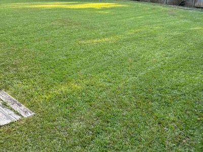 Lawn care service in Chapin, 29036
