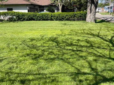 Lawn care service in Columbus, 43213