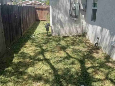 Lawn care service in Modesto, 95358