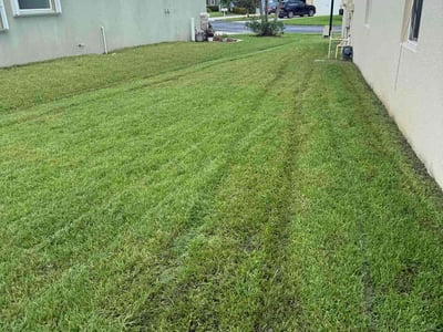 Lawn care service in Sebastian, 32958