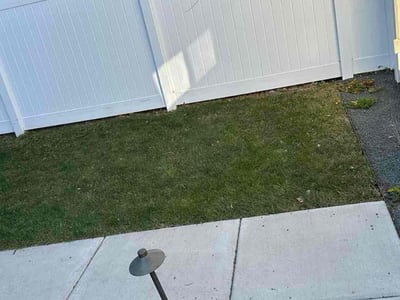 Lawn care service in Minneapolis, 55406