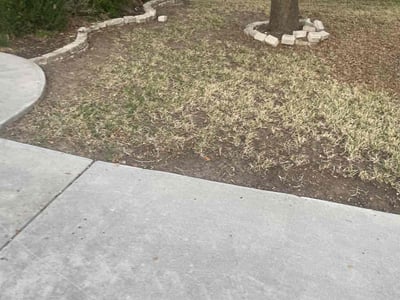 Lawn care service in Schertz, 78108