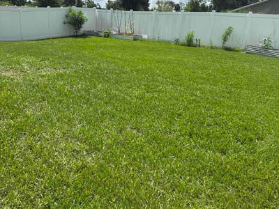 Lawn care service in Zephyrhills, 33541