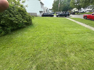 Lawn care service in Toledo, 43611