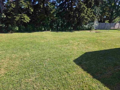 Lawn care service in Erie, 16504