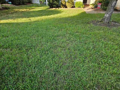 Lawn care service in Charlotte, 28277