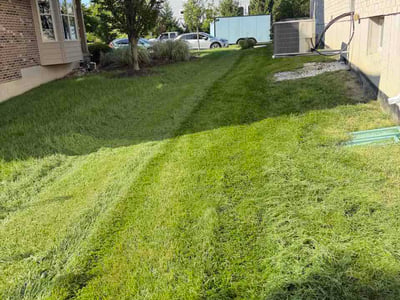 Lawn care service in Mason, 45040