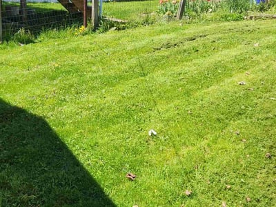 Lawn care service in Easton, 18042
