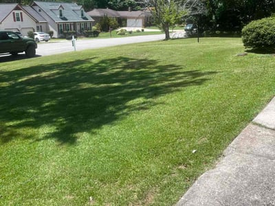 Lawn care service in Columbia, 29212