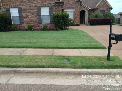Lawn care service in Cordova, 38016