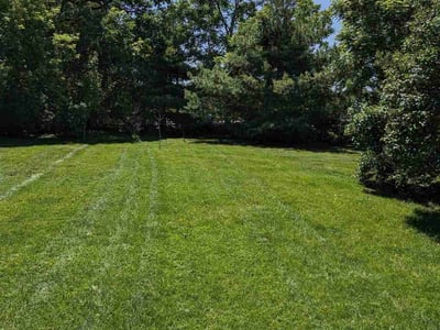 Lawn care service in Holt, 48842