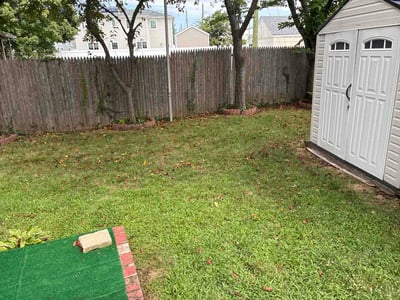 Lawn care service in Hicksville, 11801
