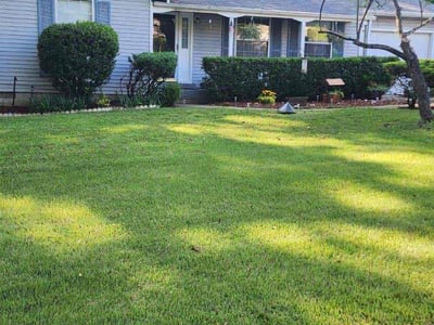 Lawn care service in Triangle, 22172