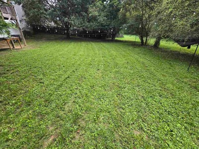 Lawn care service in Buford, 30519