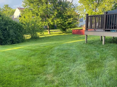 Lawn care service in Dayton, 45424